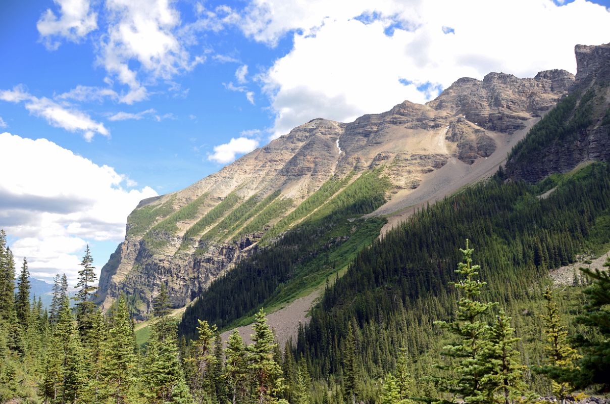 30 Fairview Mountain From Descent Of Plain Of Six Glaciers Trail Near Lake Louise